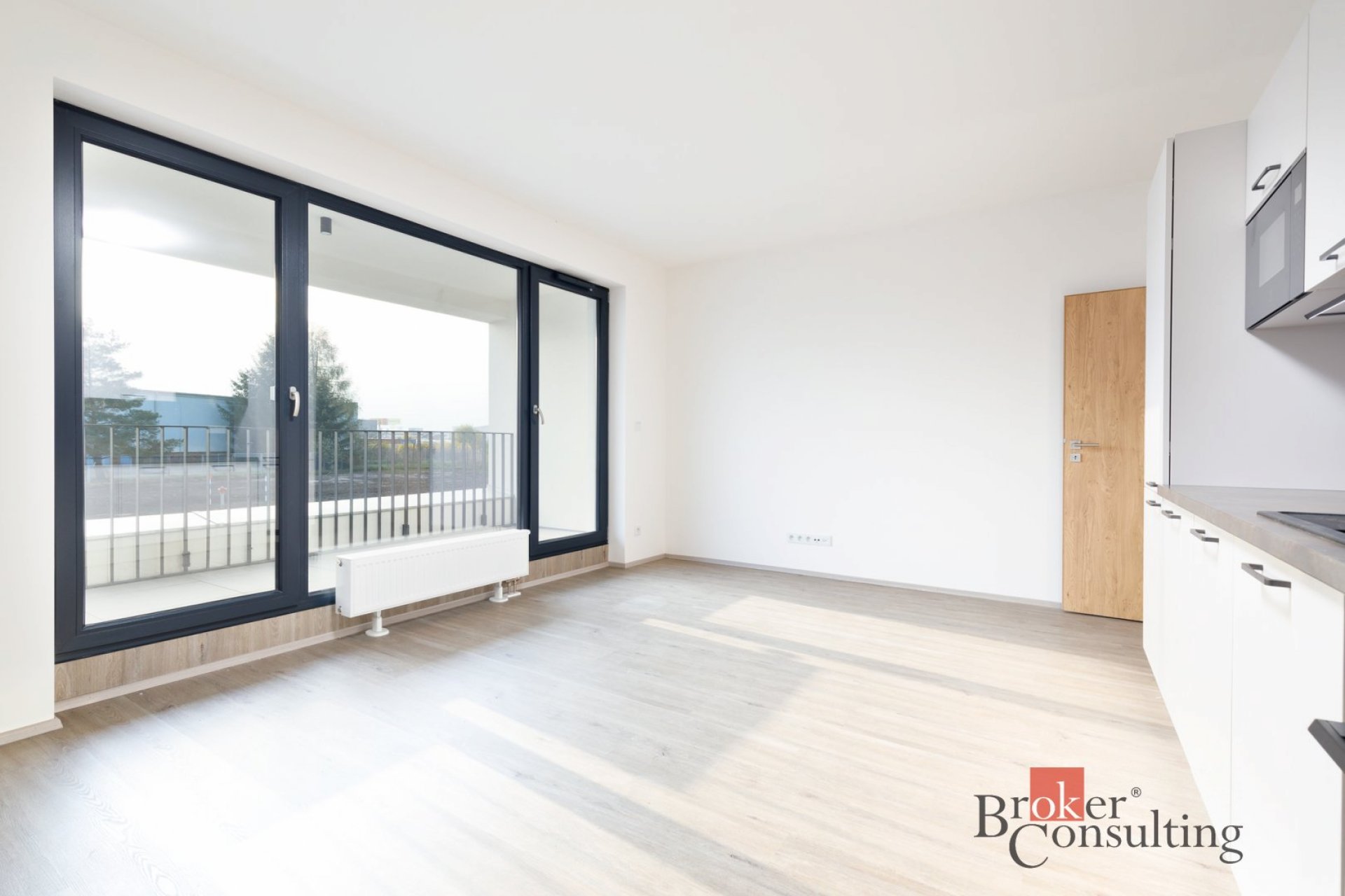 Prodej, byty/2+kk, 55 m2, Železná 3057/4, 30100 Plzeň, Plzeň-město [ID 83377]