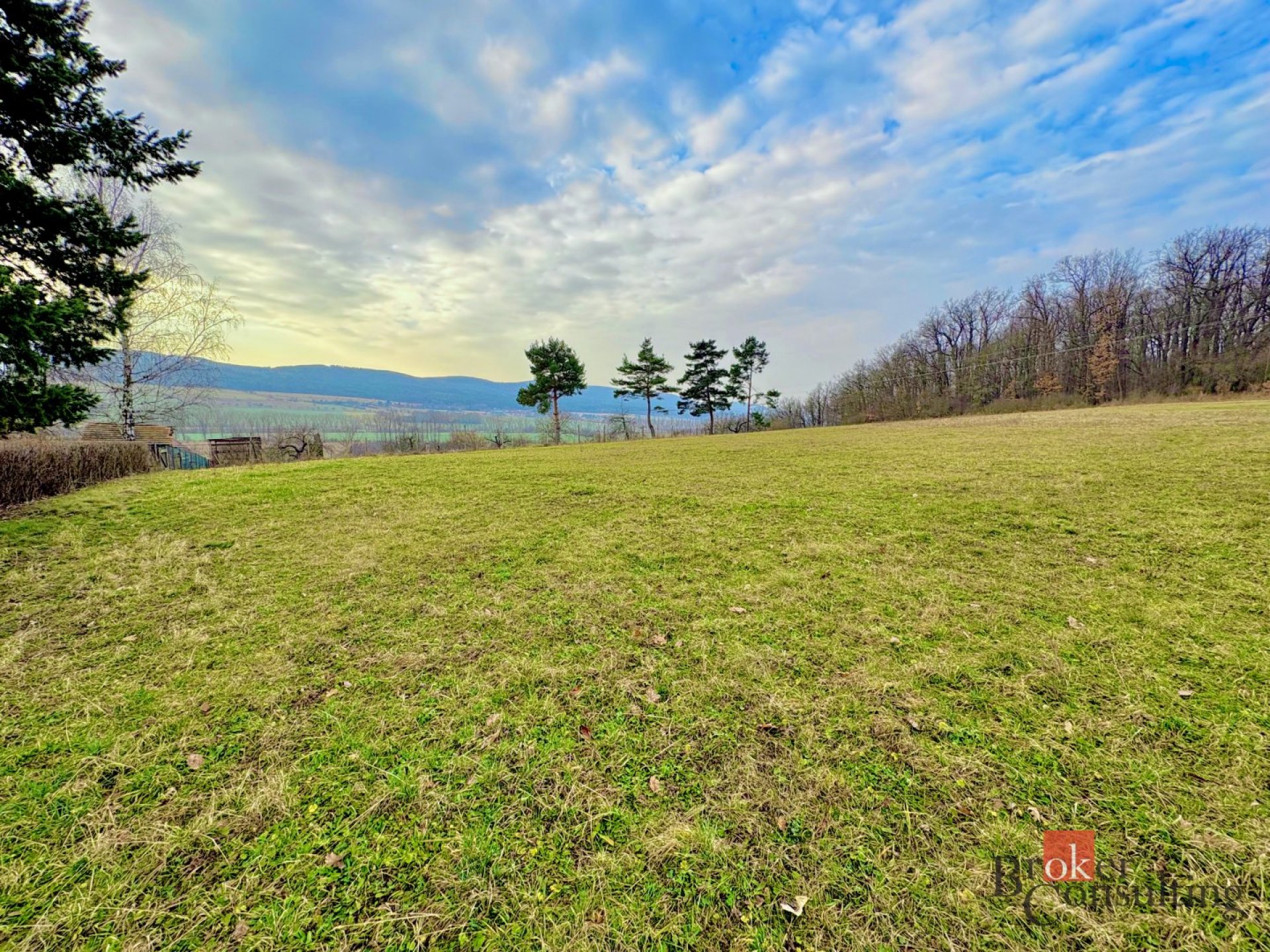 Prodej, pozemky/bydlení, 3143 m2, Nesvačily  [ID 82592]