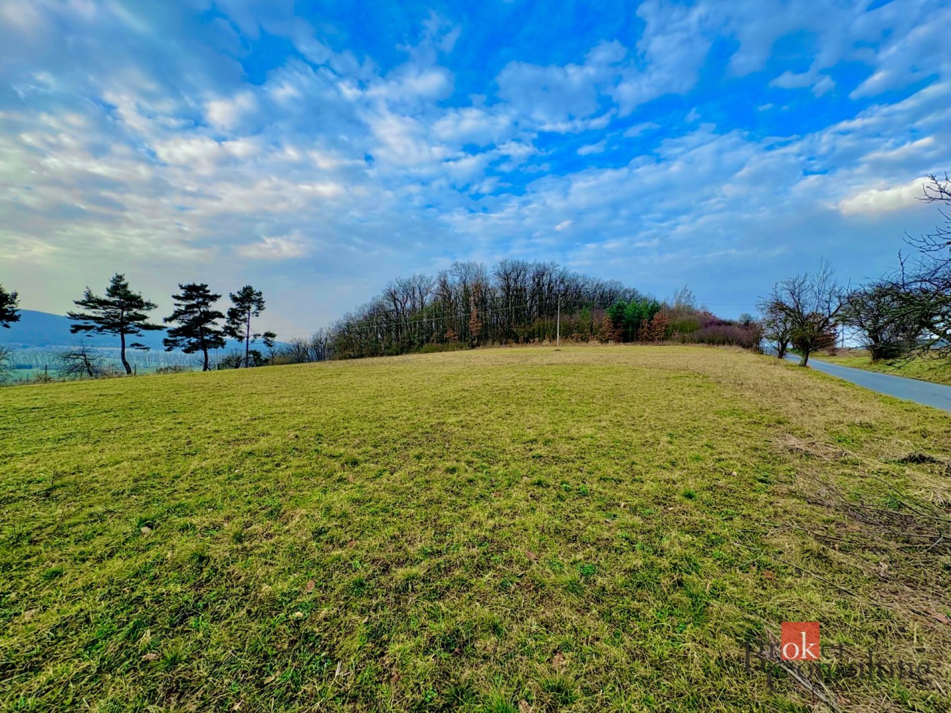 Prodej, pozemky/bydlení, 3143 m2, Nesvačily  [ID 82592]