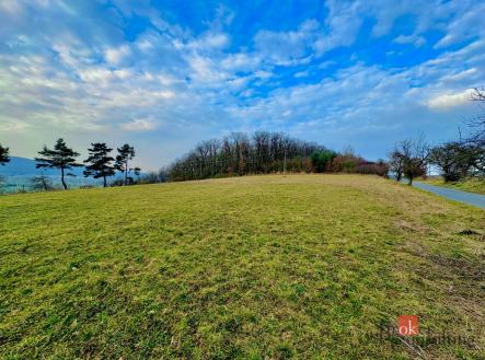 Prodej pozemku pro bydlení, 3 143 m²