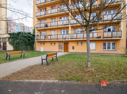 Orchid Casel de Paradise.