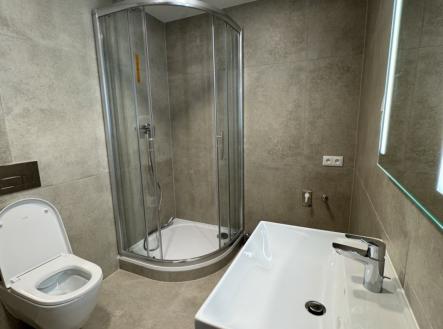 Pronájem bytu, 1+kk, 42 m²