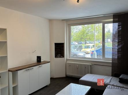 Pronájem bytu, 1+kk, 24 m²