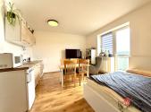 Prodej bytu, 1+kk, 33 m²