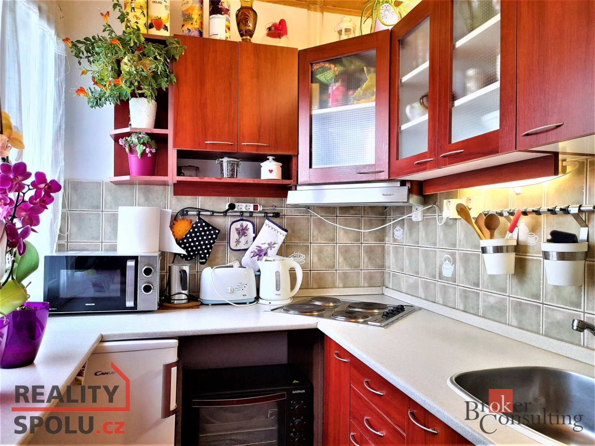 Podnájem, byty/1+1, 32 m2, Malecí 573, 54901 Nové Město nad Metují, Náchod [ID 83641]