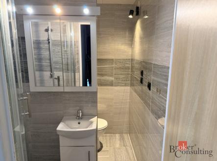 Pronájem bytu, 2+1, 43 m²