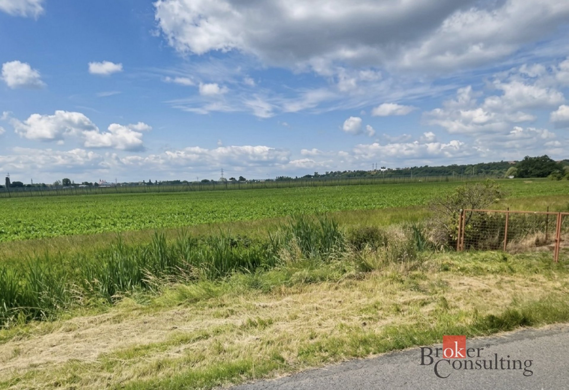 Prodej pozemků 4 536 m² – Staňkovice u Žatce