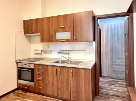 Pronájem bytu, 1+1, 45 m²