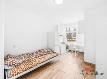 Prodej bytu, 1+kk, 16,77 m²