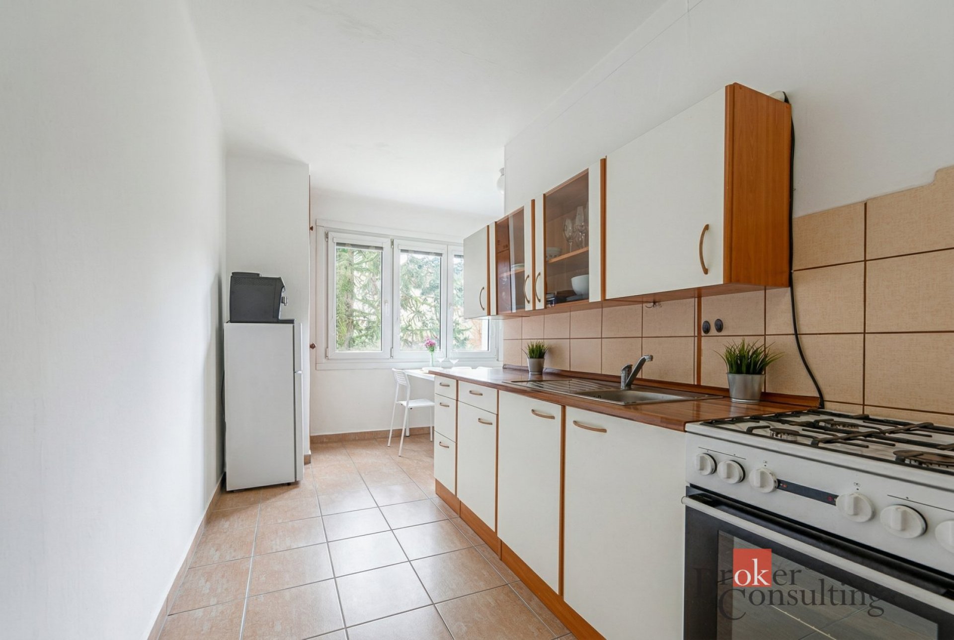 Prodej, byty/1+1, 42 m2, Smrková, Plzeň, Plzeň-město [ID 83216]