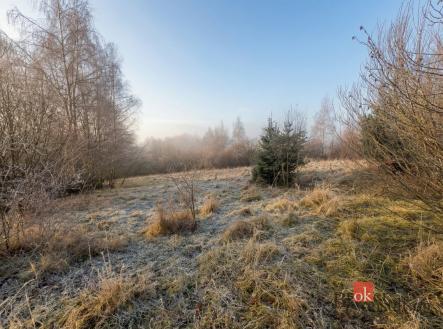 Prodej pozemku pro bydlení, 3 363 m²