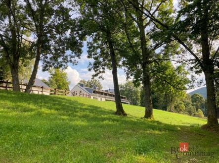 Prodej pozemku, trvalý travní porost, 282 m²