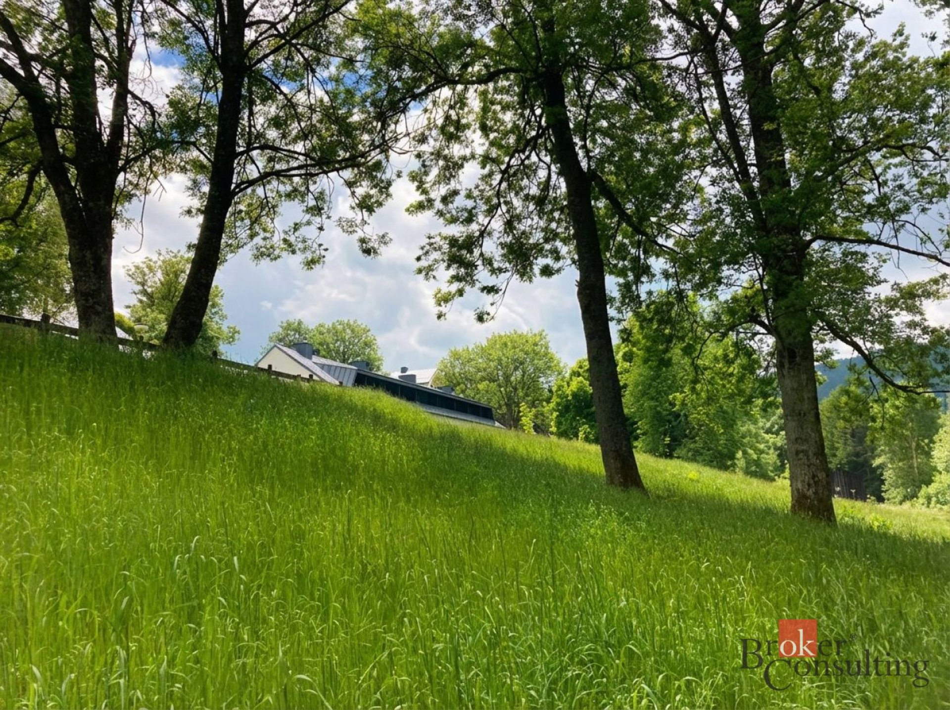 Prodej, pozemky/louka, 282 m2, Hojsova Stráž , Železná Ruda, Klatovy [ID 83286]