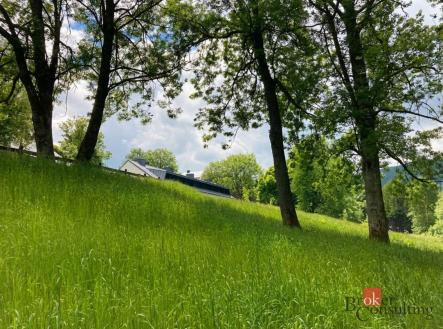 Prodej pozemku, trvalý travní porost, 282 m²