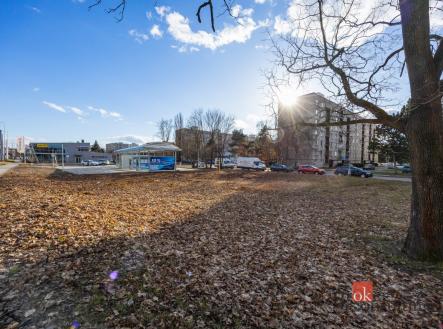 Pronájem pozemku pro komerční výstavbu, 542 m²