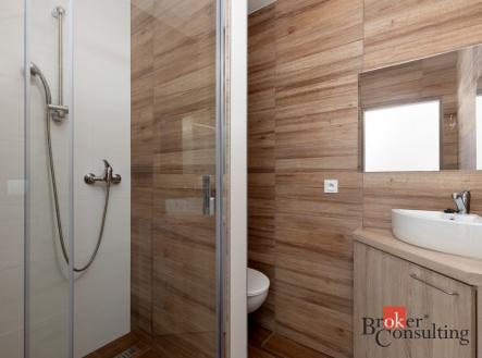 Pronájem bytu, 1+kk, 20 m²