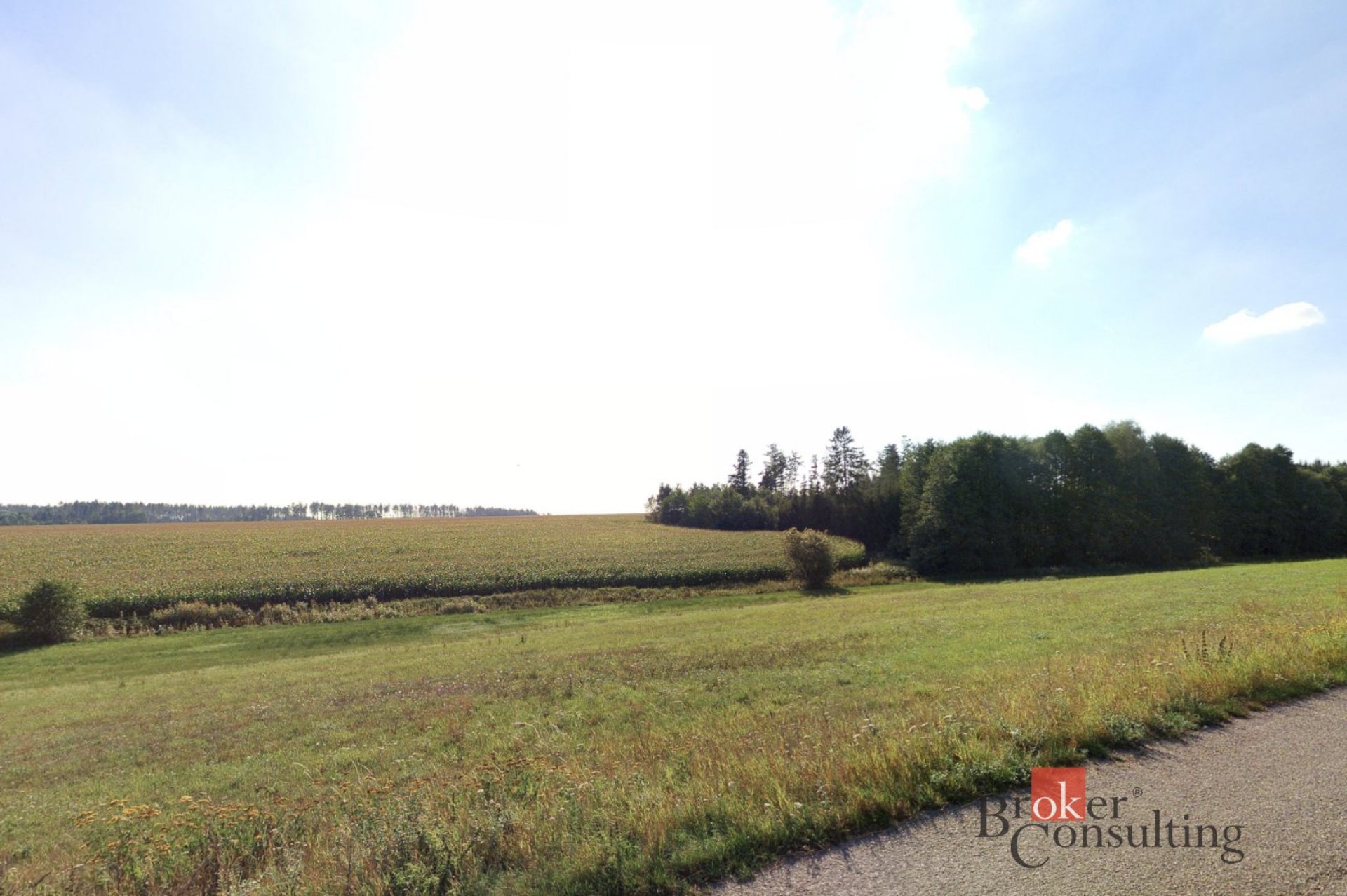 Prodej, pozemky/pole, 16385 m2, Vlkov, Žďár nad Sázavou [ID 84075]