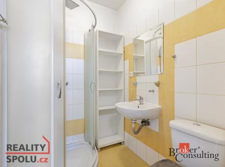 Pronájem bytu, 2+1, 54,28 m²