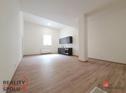 Pronájem bytu, 1+kk, 47 m²