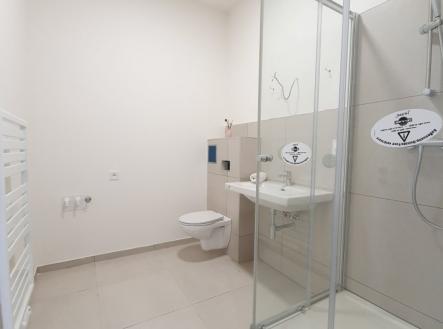 Pronájem bytu, 1+kk, 47 m²