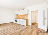 Pronájem bytu, 1+kk, 32,33 m²