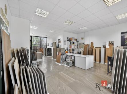 Prodej komerčního objektu, jiný, 66 m²