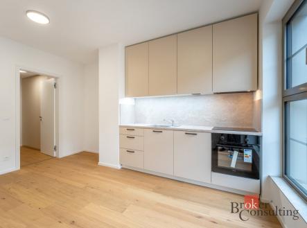 Pronájem bytu, 1+kk, 24 m²