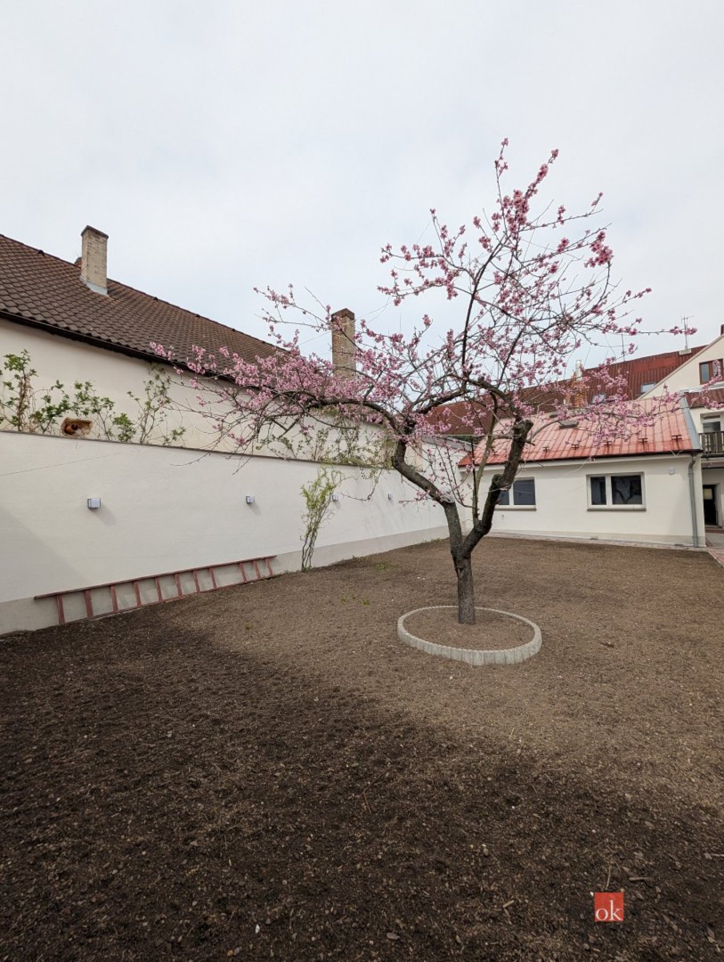 Pronájem, byty/3+kk, 65 m2, Přemyslova 127/19, 30100 Plzeň, Plzeň-město [ID 85270]