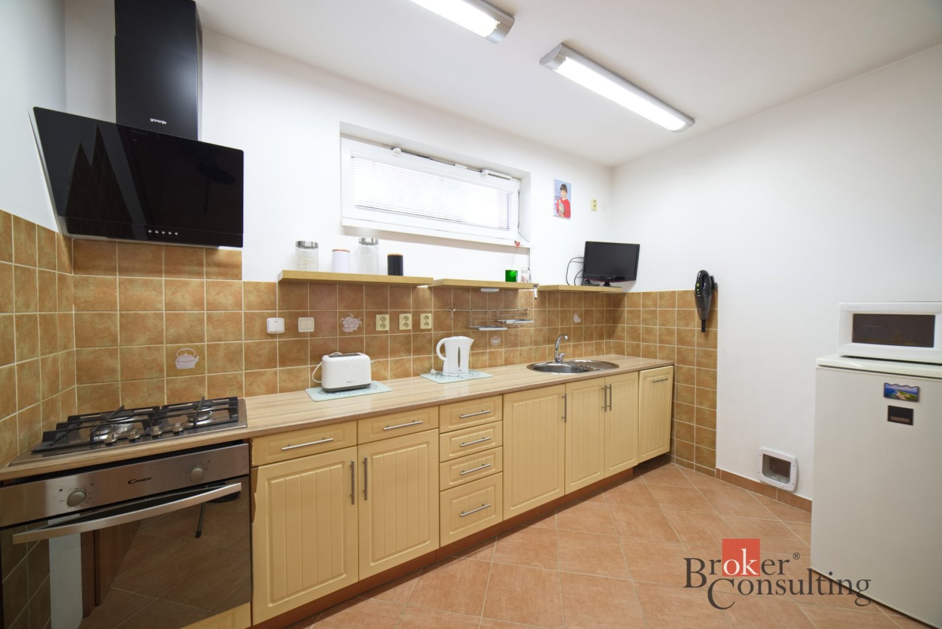 Prodej rodinného domu 3+1 v Líšťanech u Loun