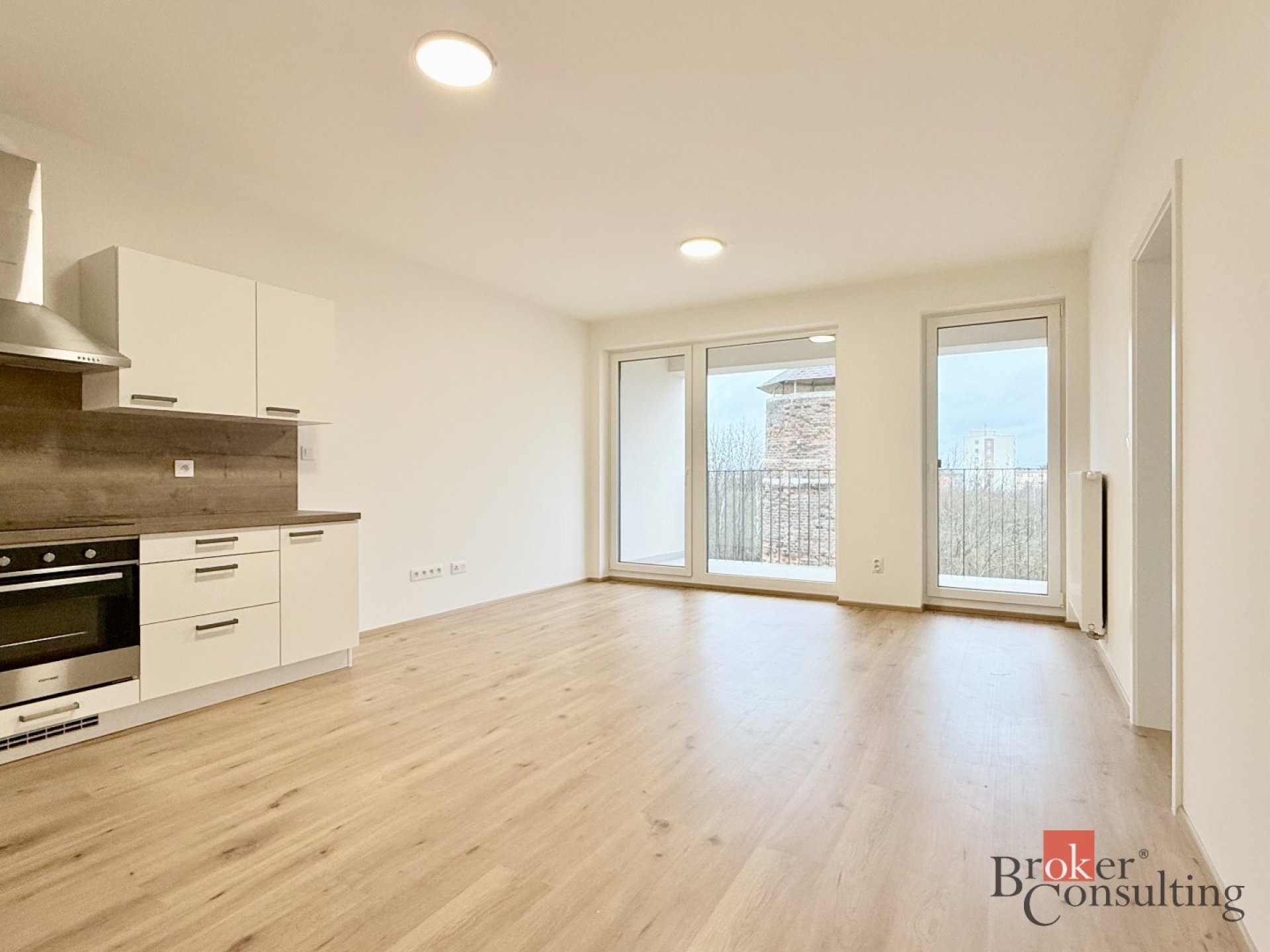 Pronájem, byty/2+kk, 63 m2, Goldscheiderova 3055/5, 30100 Plzeň, Plzeň-město [ID 85177]