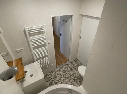 Pronájem bytu, 1+1, 56 m²