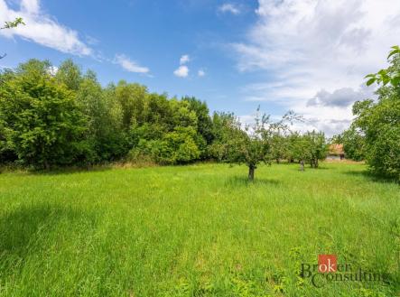 Prodej pozemku pro bydlení, 3 106 m²