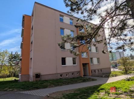 Pronájem bytu, 1+kk, 37 m²