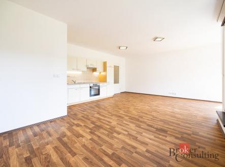 Pronájem bytu, 1+kk, 45,3 m²
