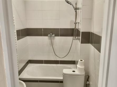 Pronájem bytu, 1+1, 30,4 m²
