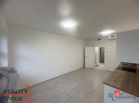 Pronájem bytu, 1+kk, 26 m²
