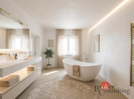 Prodej domu/vily, 300 m²