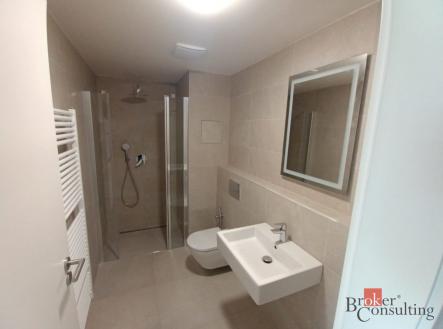 Pronájem bytu, 2+kk, 52,3 m²