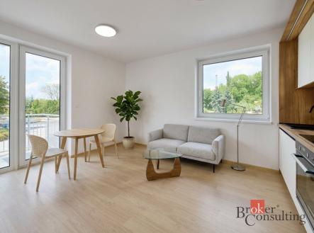 Pronájem bytu, 2+kk, 46 m²