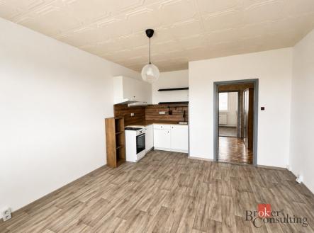 Pronájem bytu, 1+1, 41 m²