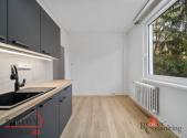 Pronájem bytu, 1+1, 38 m²