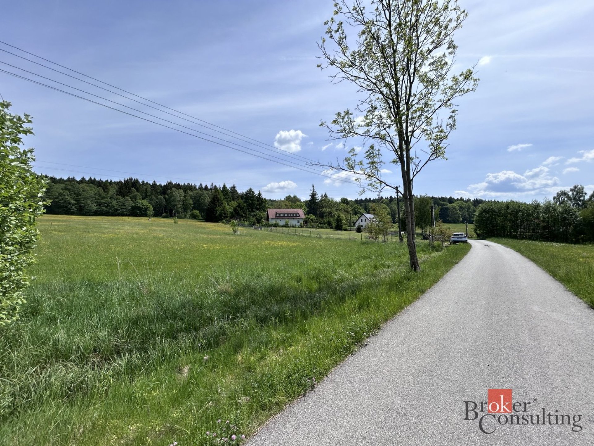Prodej, pozemky/louka, 8717 m2, Albrechtice u Frýdlantu 166, 46331 Frýdlant, Liberec [ID 85860]