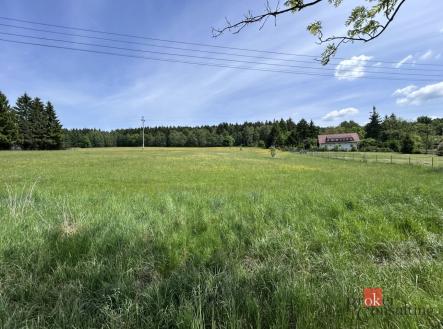 Prodej pozemku, trvalý travní porost, 8 717 m²