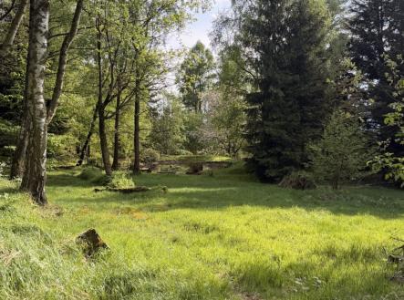 Prodej pozemku, trvalý travní porost, 8 717 m²