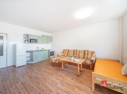 Pronájem bytu, 1+kk, 45 m²