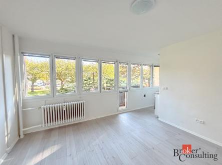 Pronájem bytu, 1+kk, 24 m²