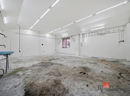 Pronájem komerčního objektu, sklad, 56 m²
