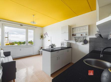 Prodej bytu, 1+1, 46 m²