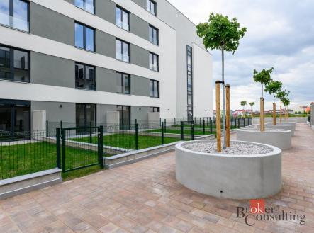 Pronájem bytu, 1+kk, 34 m²