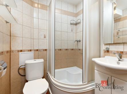Pronájem bytu, 1+1, 30 m²